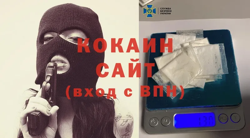 мега сайт  Пошехонье  Cocaine Эквадор  где продают наркотики 